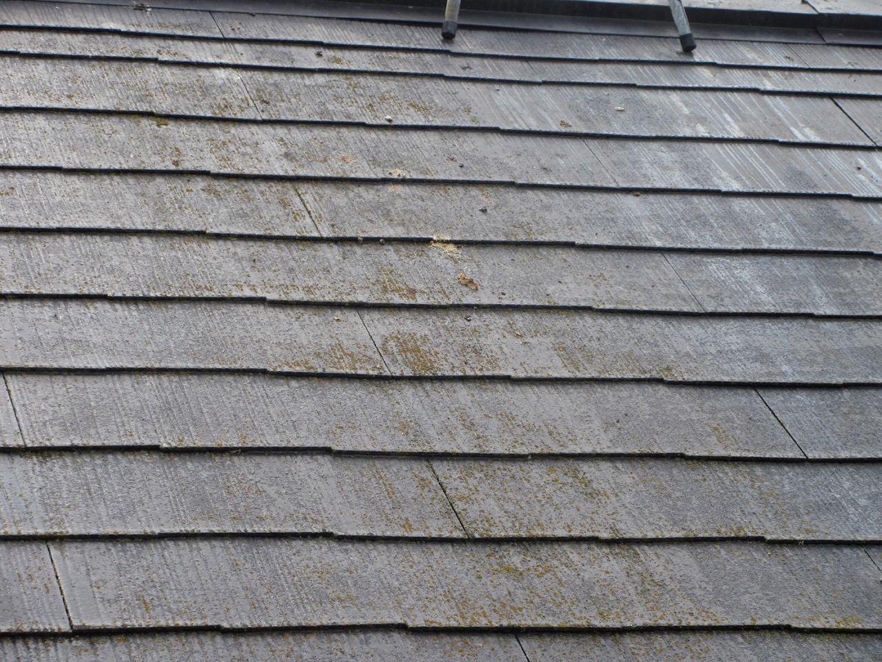 苔が発生したスレート屋根の状態